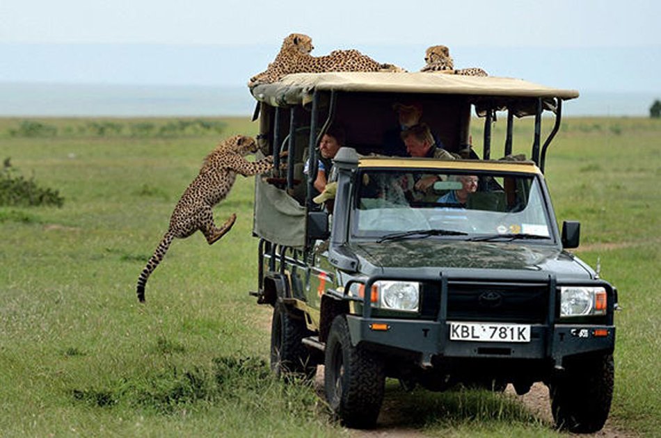 Mikumi Safari