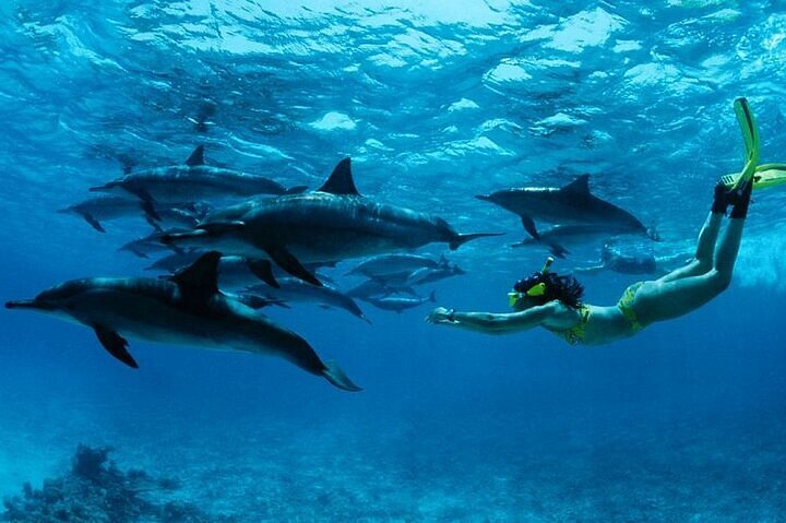 Marine Adventure Package