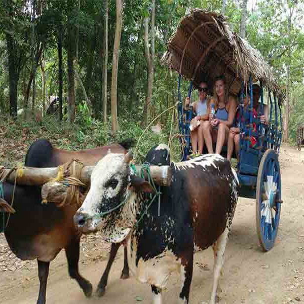 Authentic Village Cultural Tour - Image 3